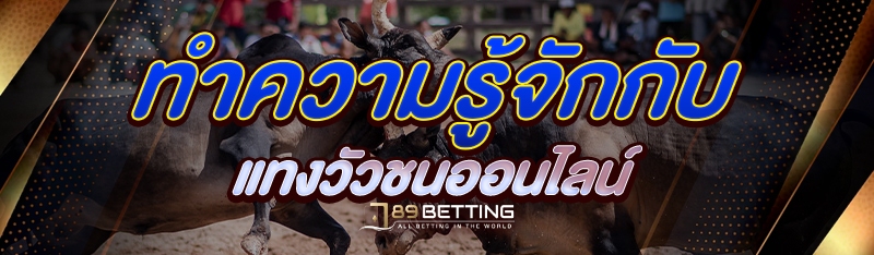 ทำความรู้จักกับ แทงวัวชนออนไลน์